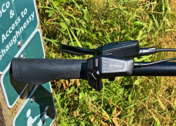 BULLS BIKES COPPERHEAD EVO HD 750 WAVE