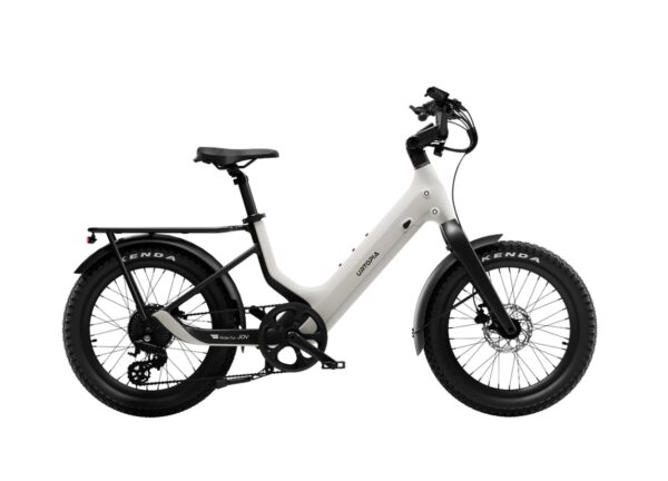Carbon Joy Ultra E-Bike