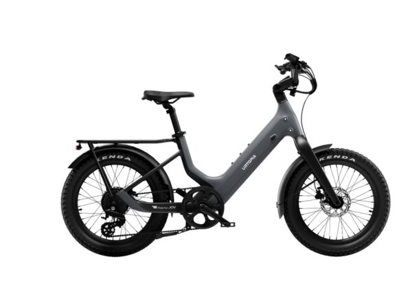 Carbon Joy Ultra E-Bike