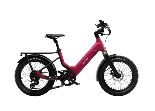 Carbon Joy Ultra E-Bike